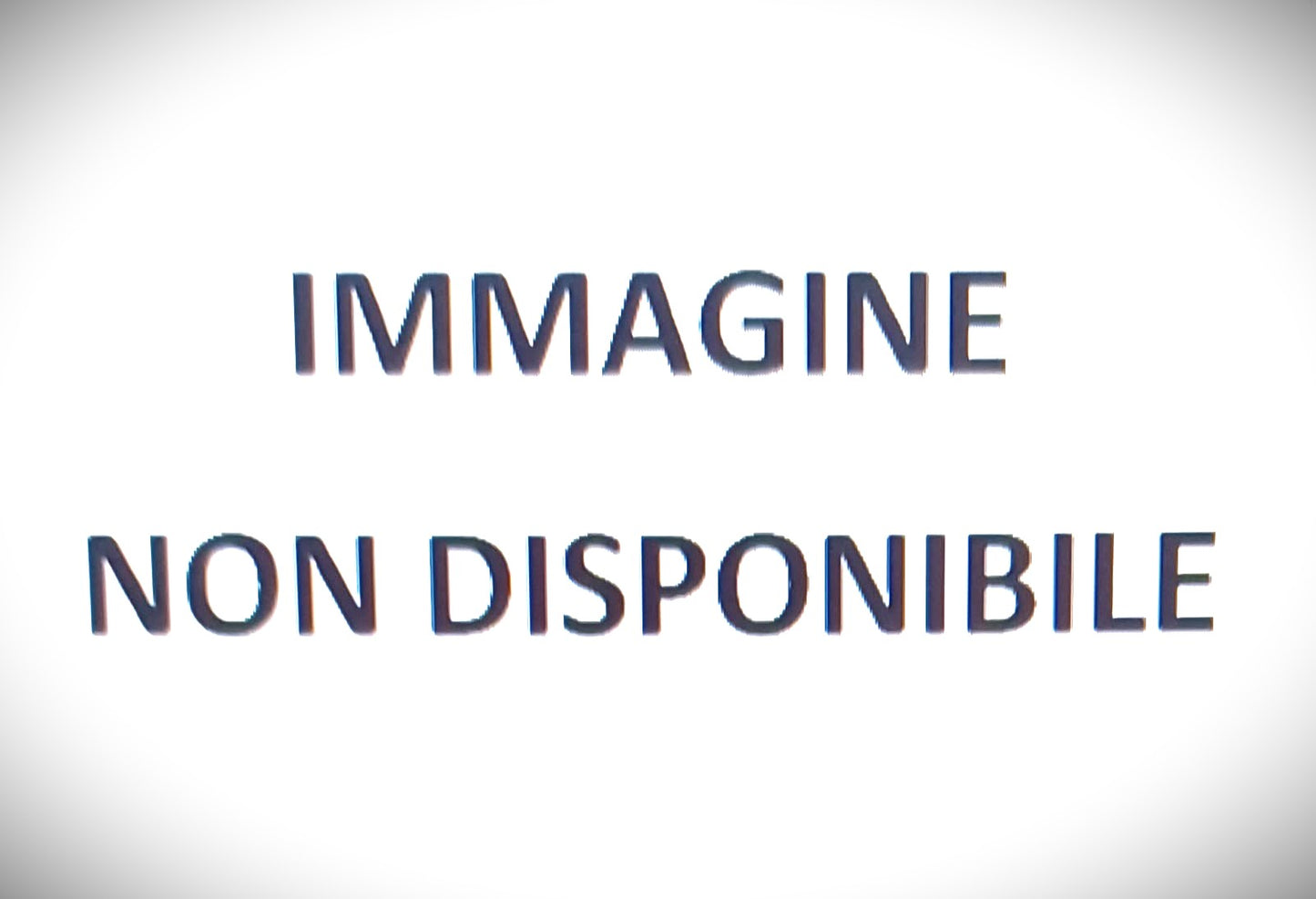 SACCHETTI ASPIRAPOLVERE MENALUX E200B