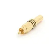 SPINA RCA GOLD