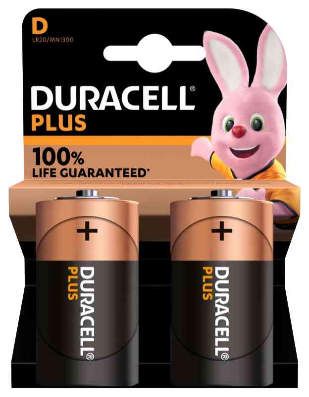 BATTERIE BLISTER 2 DURACELL MN1300  TORCIA