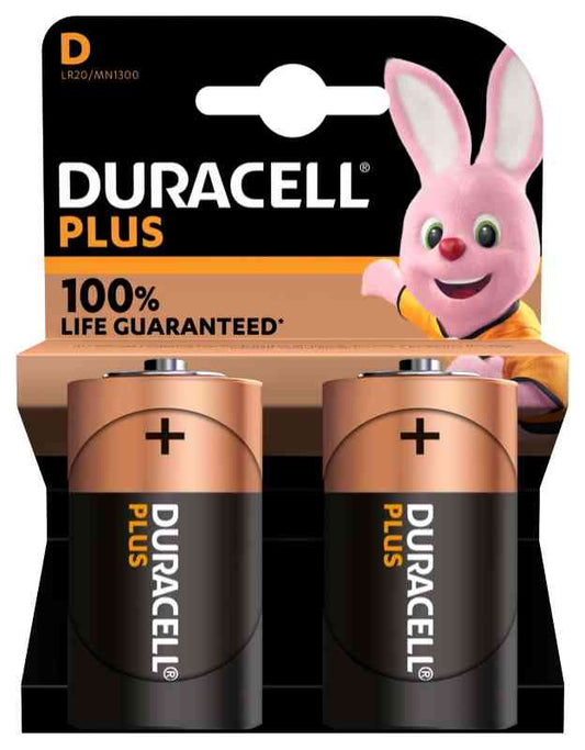 BATTERIE BLISTER 2 DURACELL MN1300  TORCIA