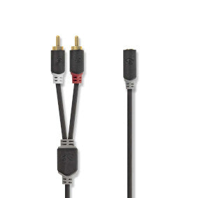 CAVO AUDIO STEREO 3,5 MM M  2x MASCHIO RCA 1.00 m