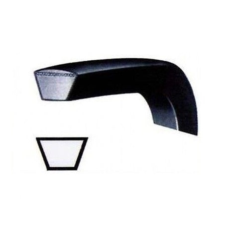 CINGHIA 3L504  ARISTON 104497