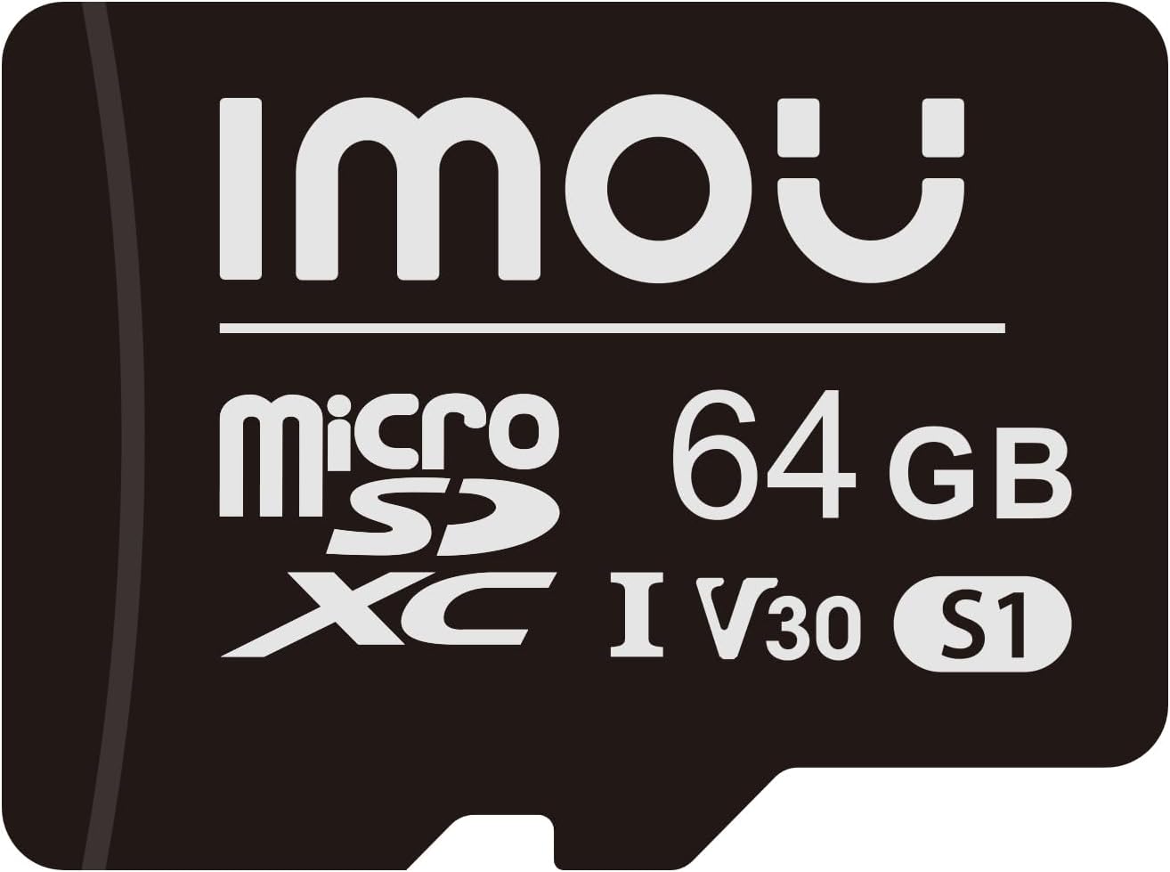 MICRO SD Card 64Gb Classe 1